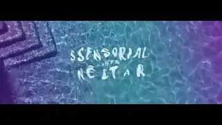 SSenSorial meets N&eacute;ctar