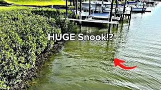 Fishing A SECRET Spot I Found On GOOGLE MAPS!