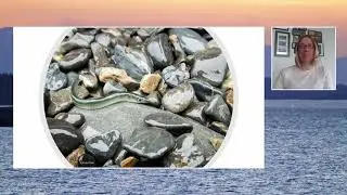 Jacklyn Barrs: An open-access database for forage fish habitat