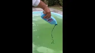 Как чистить зеленый стеклопластиковый бассейн