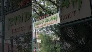 GERBANG HOTEL RINDU ALAM || BUKIT LAWANG BAHOROK