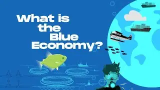 What is the Blue Economy?