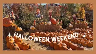 Rare Plants & Pumpkin Patch & Dog Park & Peak Foliage on Halloween Weekend | A Day in a Life Vlog