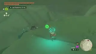 Rushroom, Gerudo Summit | The Legend of Zelda: Tears of the Kingdom