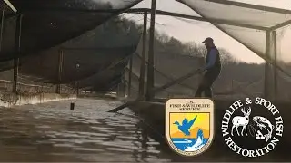 Pennsylvania Partnerships