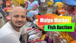 Malpe Market Fish Auction 😍 @KaravaliPeople
