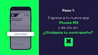 &iquest;C&oacute;mo recuperar mi contrase&ntilde;a? | Pluxee App