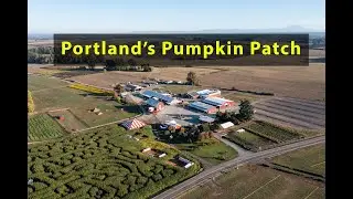 Bird&rsquo;s Eye View of The Pumpkin Patch on Sauvie Island, Portland, Oregon