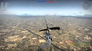 Never Fight Alone
