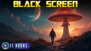 [NO ADS] Theta Waves Serenity ★︎ Deep Sleep and Lucid Dreaming with Binaural Beats