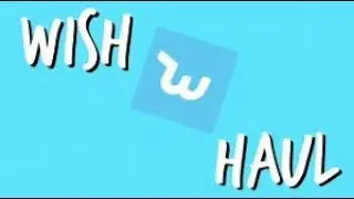 MASSIVE WISH APP HAUL NO.1 ( IS IT A SCAM ) FIRST REACTIONS