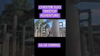 chester zoo treetop adventure #chesterzoo #fun #kids #zoo