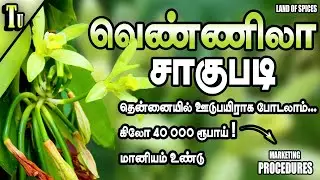 1 கிலோ 40 ஆயிரம்  | வெண்ணிலா சாகுபடி | vanilla cultivation | land of spices