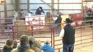 Six&rsquo;s Shorthorns &ldquo;Legends of the Fall&rdquo; Sale, Waynesburg, PA