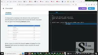 SoloLearn - Coding For Data - Chocolate project