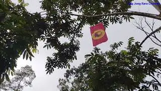 Panen dabai lagi...jangan sampia terlepas dan merindui dabai ya....