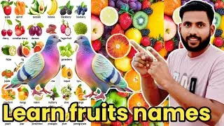 Learn all fruits names || kids video || abcd video for kids || kids toys and other videos 