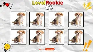 Say the Word on Beat Challenge 🔊 | 1-4 Levels | 5x mode
