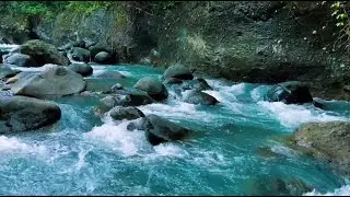 Flowing River Stream Nature Ambience for Deep Sleep, Meditation, Stress Relief and Calm Mind