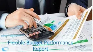 Flexible budget performance report
