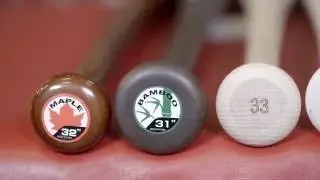 Wood Baseball Bats | Source For Sports