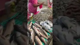 Nellore Fish Market on Sunday
