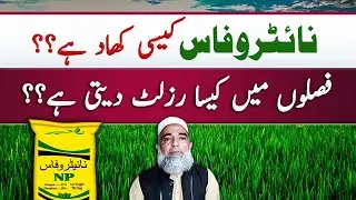 Salient Features of Nitrophos Fertilizer|| Crop Reformer
