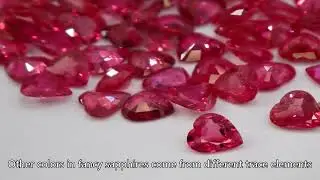 Ruby vs. Sapphire: What&rsquo;s the Difference & Which One Should You Buy?