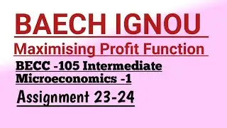 Maximising Profit Function BECC -105 Intermediate Microeconomics -1 BAECH IGNOU Assignment 23-24