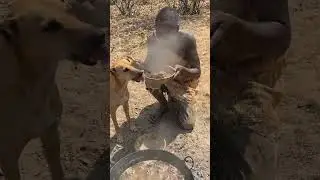 Hadzabe Roasting Meat with Slow Turns #Hadzabe #SlowTurns #WildMeat #FireCooking #shortsfeed