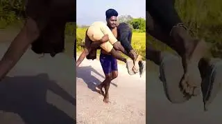 #massfight