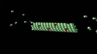 Taxol: Mechanism of action