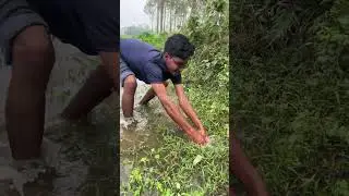 🎣 Fishing for LIFE in a Desi Village | A Day of Traditional Fishing in Rural Life 🌾 Village Ltd