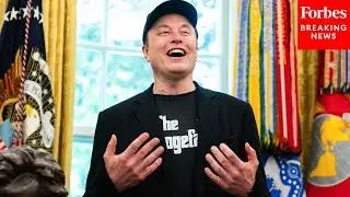 'Come On Guys': Elon Musk Implores People To Cheer For Good Economic Numbers At Oval Office Event