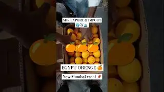 Fresh & Quality Egypt orenge 🍊 #trending #fruit #export #egypt #india #food #shorts #mumbai #sweet