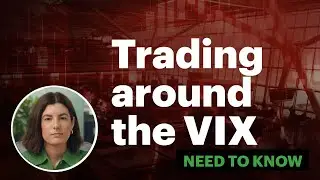 How to invest when the VIX&ndash;Wall Street&rsquo;s fear index&ndash;spikes | Need to Know