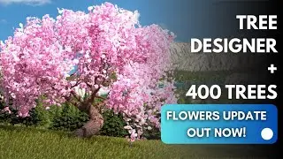 🌸 The 
