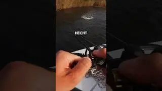 Swimbait raus, Hecht drauf! 😎 Herbst-Tipp f&uuml;rs Angeln #hecht #hechtangeln #catchandcook #angeln