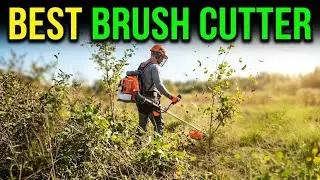 Best Brush Cutter 2026 &ndash; Top Picks for Clearing Thick Weeds & Grass