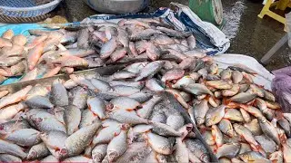 Most popular and busy wet fish market | Fishes and Foods for Livelihoods in Cambodia