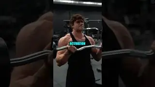 You NEED To Do These Pull Day Exercises!
