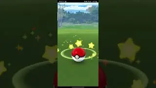 catching a #hundo #scatterbug in #pokemongo