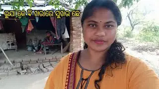 ଇ ବର୍ଷ ର last vlog video /daily village lifestyle vlog 