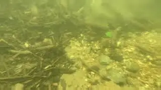 Through the looking glass - a quick glimpse under looking glass falls.