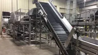Green bean processing and packing line