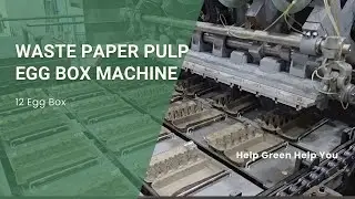 Waste Paper Egg Carton Egg Box Egg Tray machine in China