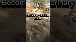 Are You Agree ?? 🤔#vlogs  #veterinary #veterinaria #bvscah #bvsc_ah #navle #bcse #vetdoctor #shorts