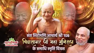 संत शिरोमणि आचार्य श्री 108 विद्यासागर जी महा मुनिराज के समाधि स्मृति दिवस