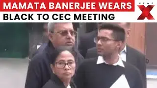 Mamata Banerjee Wears Black to CEC Meeting, Raises Eyebrows Among TMC MPs