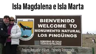 Monumento Natural Los Pinguinos - Isla Magdalena e Isla Marta - Projeto Recordar &eacute; Viver